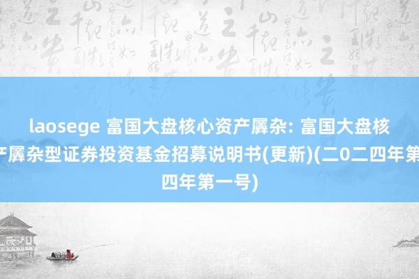 laosege 富国大盘核心资产羼杂: 富国大盘核心资产羼杂型证券投资基金招募说明书(更新)(二0二四年第一号)