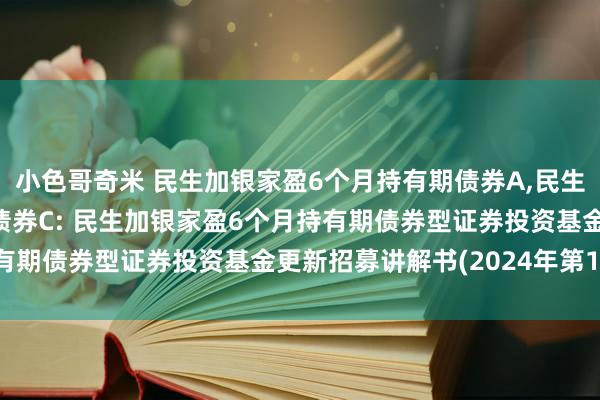 小色哥奇米 民生加银家盈6个月持有期债券A，民生加银家盈6个月持有期债券C: 民生加银家盈6个月持有期债券型证券投资基金更新招募讲解书(2024年第1号)