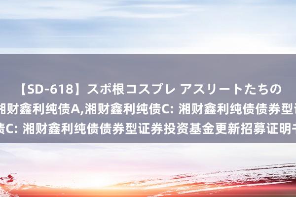 【SD-618】スポ根コスプレ アスリートたちの濡れ濡れトレーニング 湘财鑫利纯债A，湘财鑫利纯债C: 湘财鑫利纯债债券型证券投资基金更新招募证明书