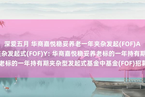 深爱五月 华商嘉悦稳妥养老一年夹杂发起(FOF)A，华商嘉悦稳妥养老一年夹杂发起式(FOF)Y: 华商嘉悦稳妥养老标的一年持有期夹杂型发起式基金中基金(FOF)招募讲明书(更新)