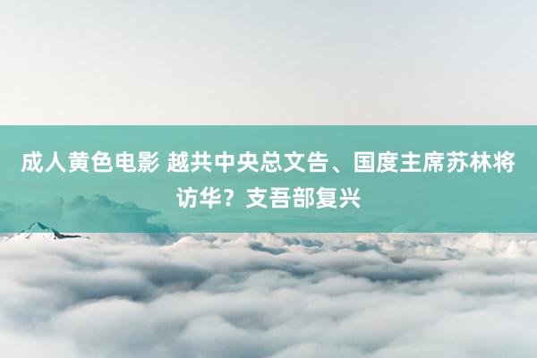 成人黄色电影 越共中央总文告、国度主席苏林将访华？支吾部复兴