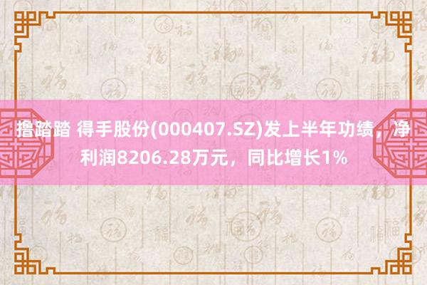 撸踏踏 得手股份(000407.SZ)发上半年功绩，净利润8206.28万元，同比增长1%