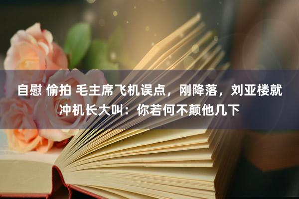 自慰 偷拍 毛主席飞机误点，刚降落，刘亚楼就冲机长大叫：你若何不颠他几下