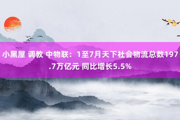 小黑屋 调教 中物联：1至7月天下社会物流总数197.7万亿元 同比增长5.5%