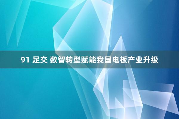 91 足交 数智转型赋能我国电板产业升级