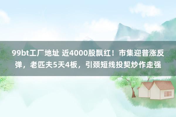 99bt工厂地址 近4000股飘红！市集迎普涨反弹，老匹夫5天4板，引颈短线投契炒作走强