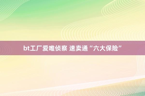 bt工厂爱唯侦察 速卖通“六大保险”